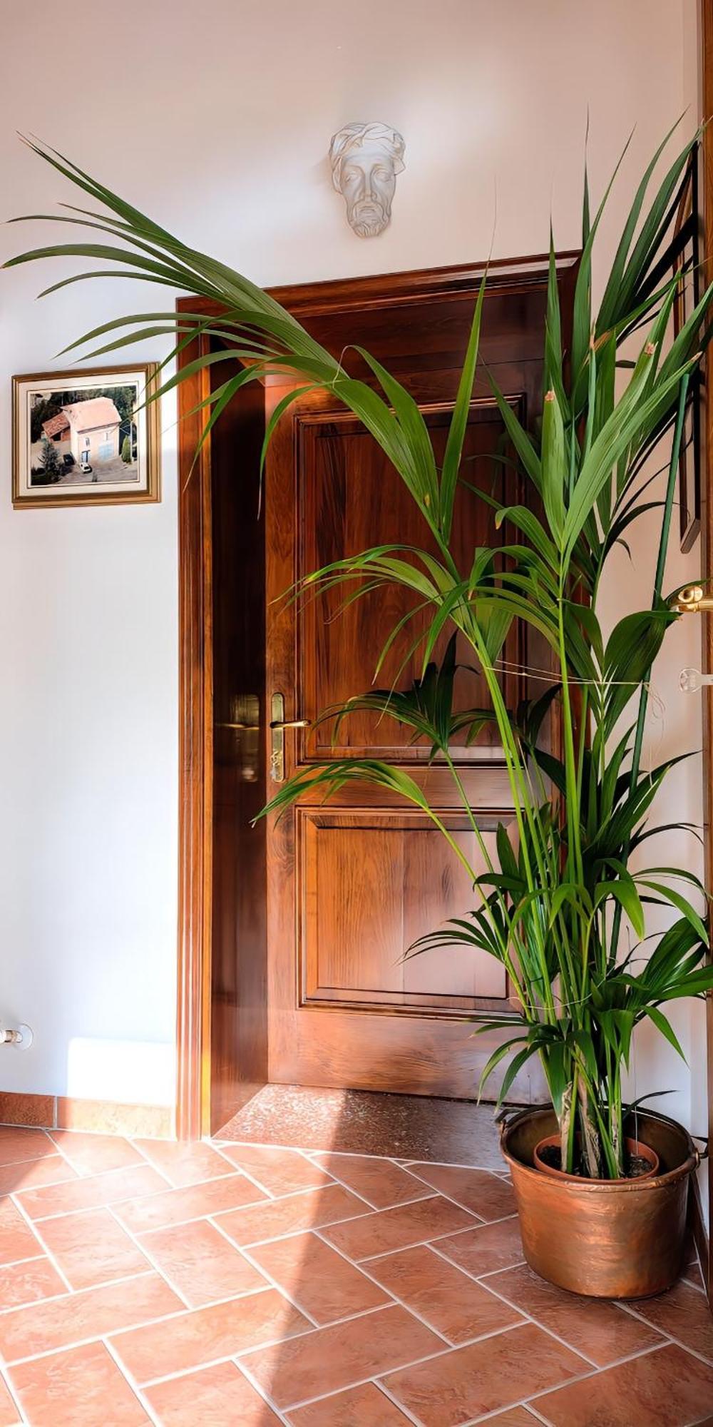 Casa Due Marie Marano Sul Panaro Hotel Buitenkant foto